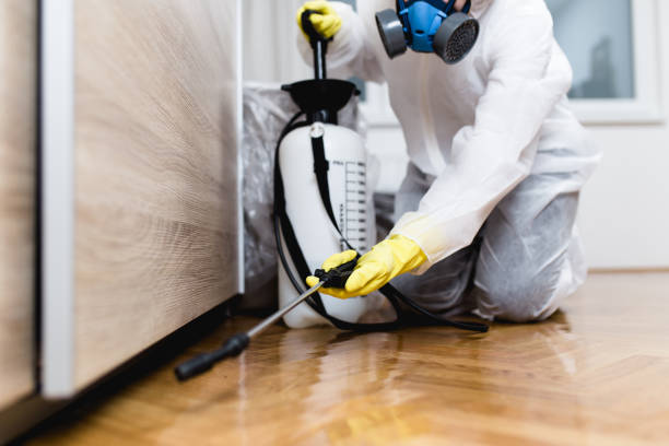 Best Pest Control Near Me in Elm Creek, TX