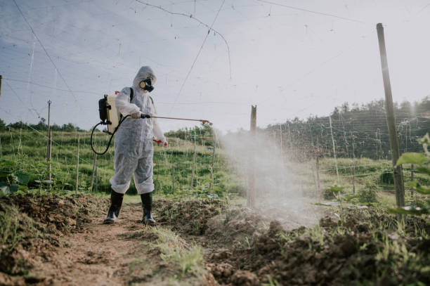 Best Ant Control Services  in Elm Creek, TX