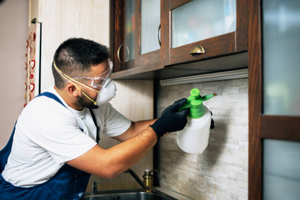 Best Pest Control Near Me in Elm Creek, TX