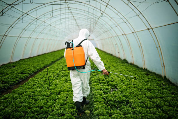 Best Affordable Pest Control Services  in Elm Creek, TX