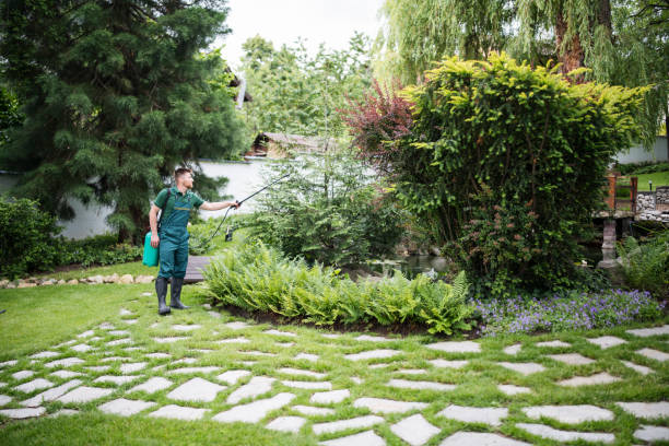 Best Wasp Removal Services  in Elm Creek, TX