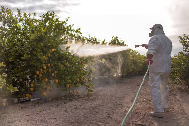 Flea Control Services in Elm Creek, TX