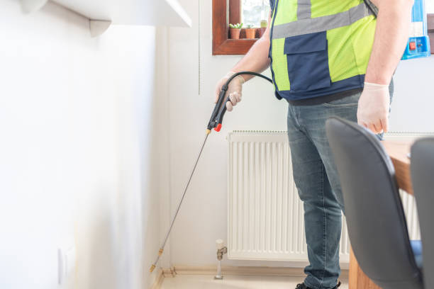 Best Affordable Pest Control Services  in Elm Creek, TX