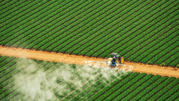 Best Insect Control  in Elm Creek, TX