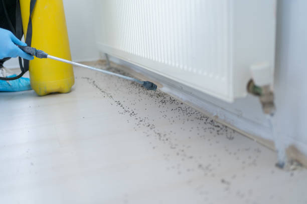 Best Exterminator Services  in Elm Creek, TX