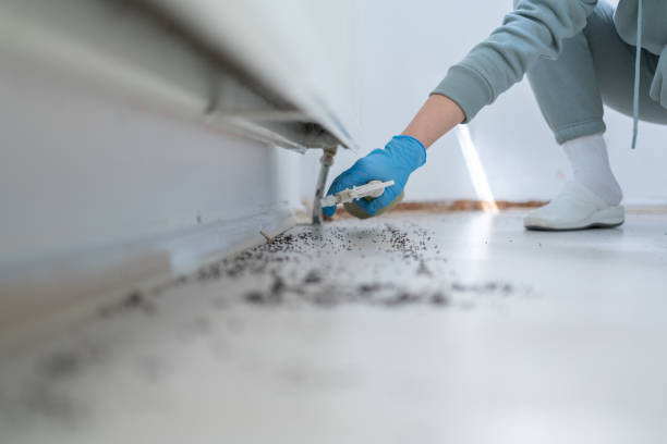 Best Emergency Pest Control  in Elm Creek, TX