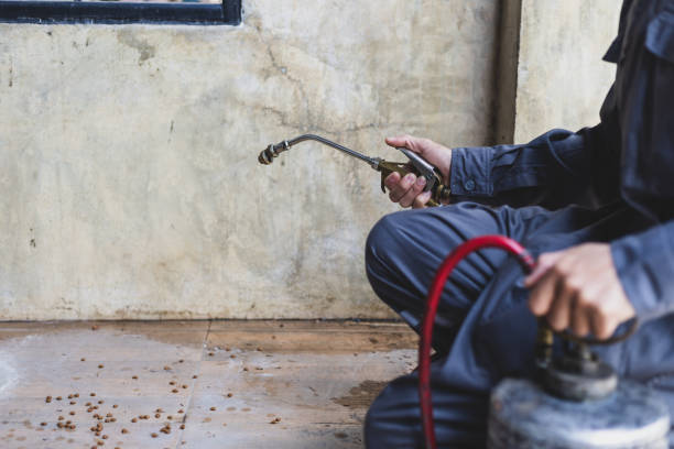 Pest Control for Restaurants in Elm Creek, TX
